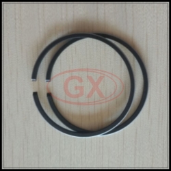 30HP Piston Ring